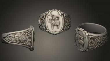Jewelry rings BODE 3d model